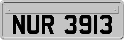 NUR3913