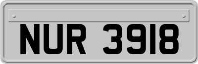 NUR3918