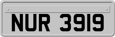 NUR3919