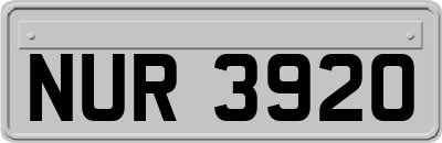 NUR3920