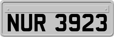 NUR3923