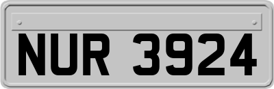 NUR3924