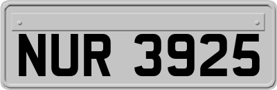 NUR3925