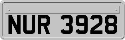 NUR3928