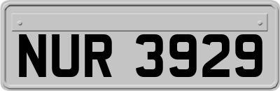 NUR3929