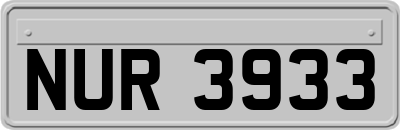 NUR3933
