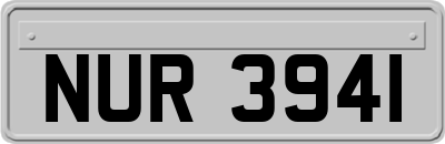 NUR3941