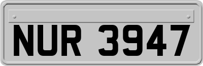 NUR3947