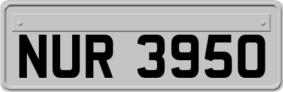 NUR3950