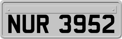 NUR3952