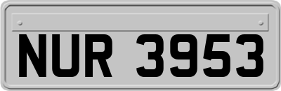 NUR3953