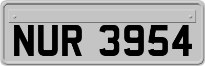 NUR3954