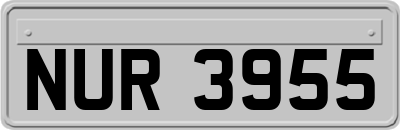NUR3955