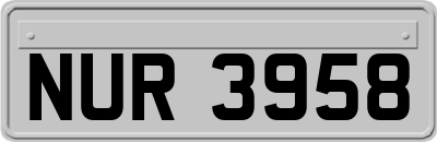 NUR3958