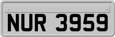 NUR3959