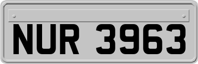 NUR3963
