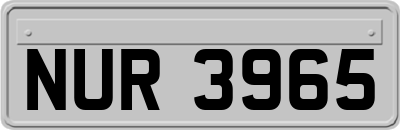 NUR3965