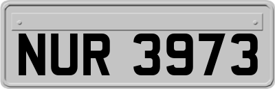 NUR3973