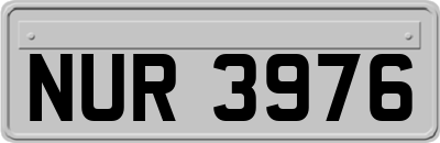 NUR3976