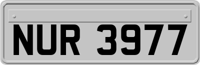NUR3977