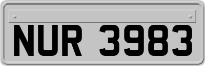 NUR3983