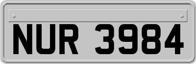NUR3984