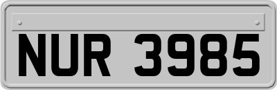 NUR3985