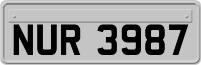 NUR3987