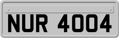 NUR4004