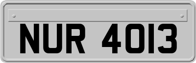 NUR4013