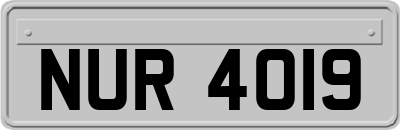 NUR4019