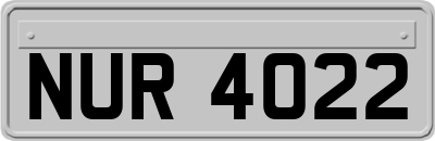 NUR4022