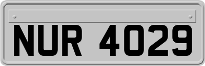 NUR4029