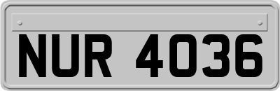NUR4036