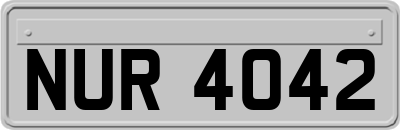 NUR4042