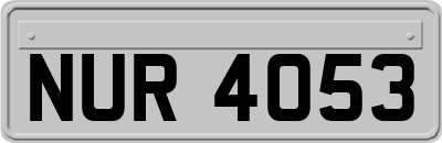 NUR4053