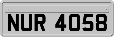 NUR4058