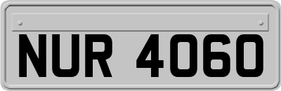 NUR4060