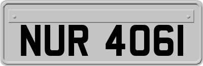 NUR4061