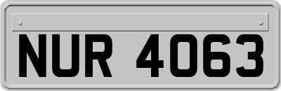 NUR4063
