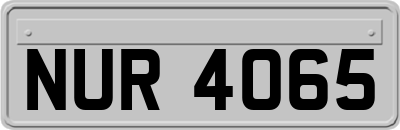 NUR4065
