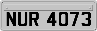 NUR4073