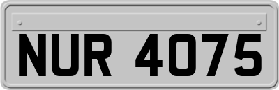 NUR4075