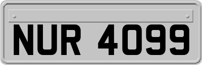 NUR4099