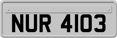 NUR4103