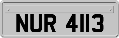 NUR4113