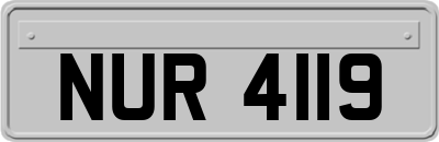 NUR4119