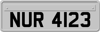 NUR4123