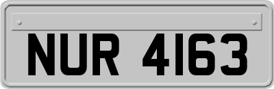 NUR4163