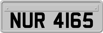 NUR4165